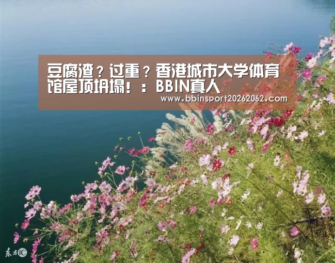 BBIN真人